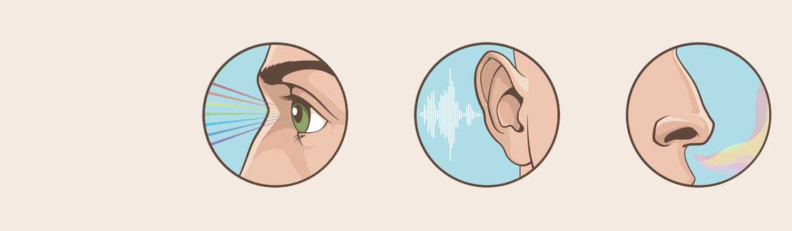 Augen, Nase & Ohren