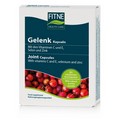 GRÜNLIPPMUSCHEL GELENK Kapseln