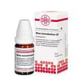 RHUS TOXICODENDRON C 30 Globuli