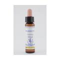 BACHBLÜTEN Agrimony Healing Herbs Tropfen