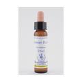 BACHBLÜTEN Cherry Plum Healing Herbs Tropfen