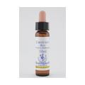 BACHBLÜTEN Chestnut Bud Healing Herbs Tropfen