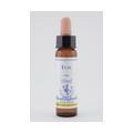BACHBLÜTEN Elm Healing Herbs Tropfen