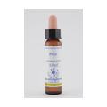 BACHBLÜTEN Pine Healing Herbs Tropfen