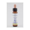 BACHBLÜTEN Scleranthus Healing Herbs Tropfen