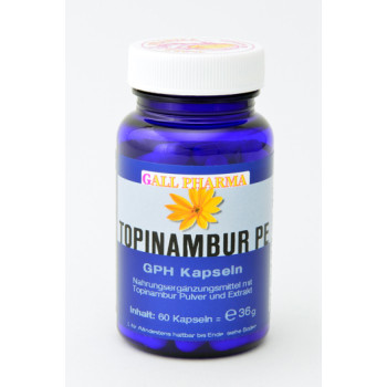 TOPINAMBUR E 300 mg GPH Kapseln