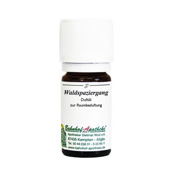 WALDSPAZIERGANG Öl