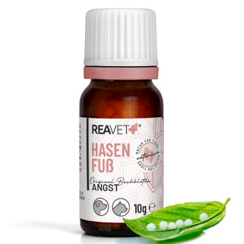 REAVET Bachblüten Globuli-Hasenfuß